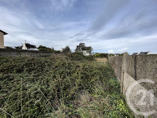 terrain - LAMPAUL PLOUARZEL - 29