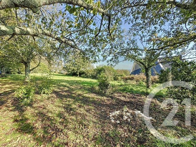 Afficher la photo en grand Terrain à vendre - 998 m2 - Plougastel Daoulas - 29 - BRETAGNE