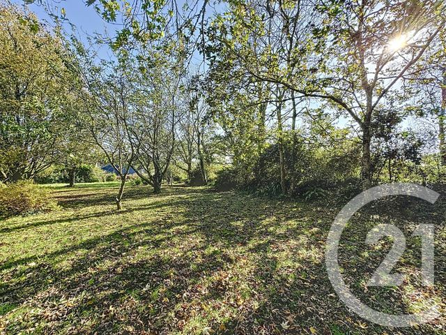 Afficher la photo en grand Terrain à vendre - 998 m2 - Plougastel Daoulas - 29 - BRETAGNE