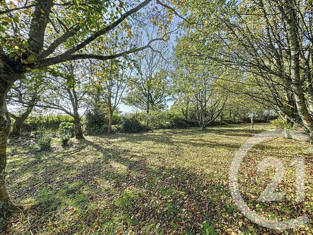 Afficher la photo en grand Terrain à vendre - 998 m2 - Plougastel Daoulas - 29 - BRETAGNE