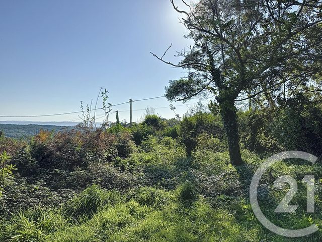 Afficher la photo en grand Terrain à vendre - 998 m2 - Plougastel Daoulas - 29 - BRETAGNE