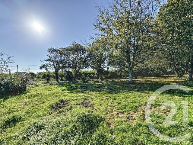 Afficher la photo en grand Terrain à vendre - 998 m2 - Plougastel Daoulas - 29 - BRETAGNE