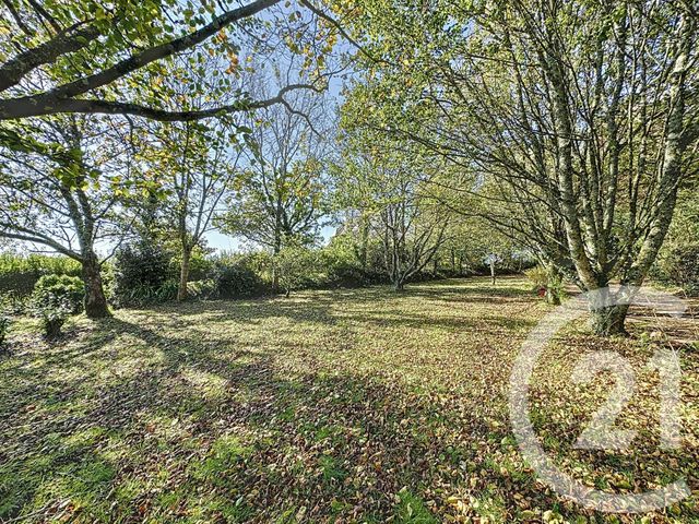 Afficher la photo en grand Terrain à vendre - 998 m2 - Plougastel Daoulas - 29 - BRETAGNE