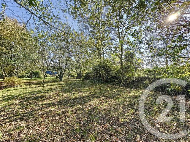 Afficher la photo en grand Terrain à vendre - 998 m2 - Plougastel Daoulas - 29 - BRETAGNE